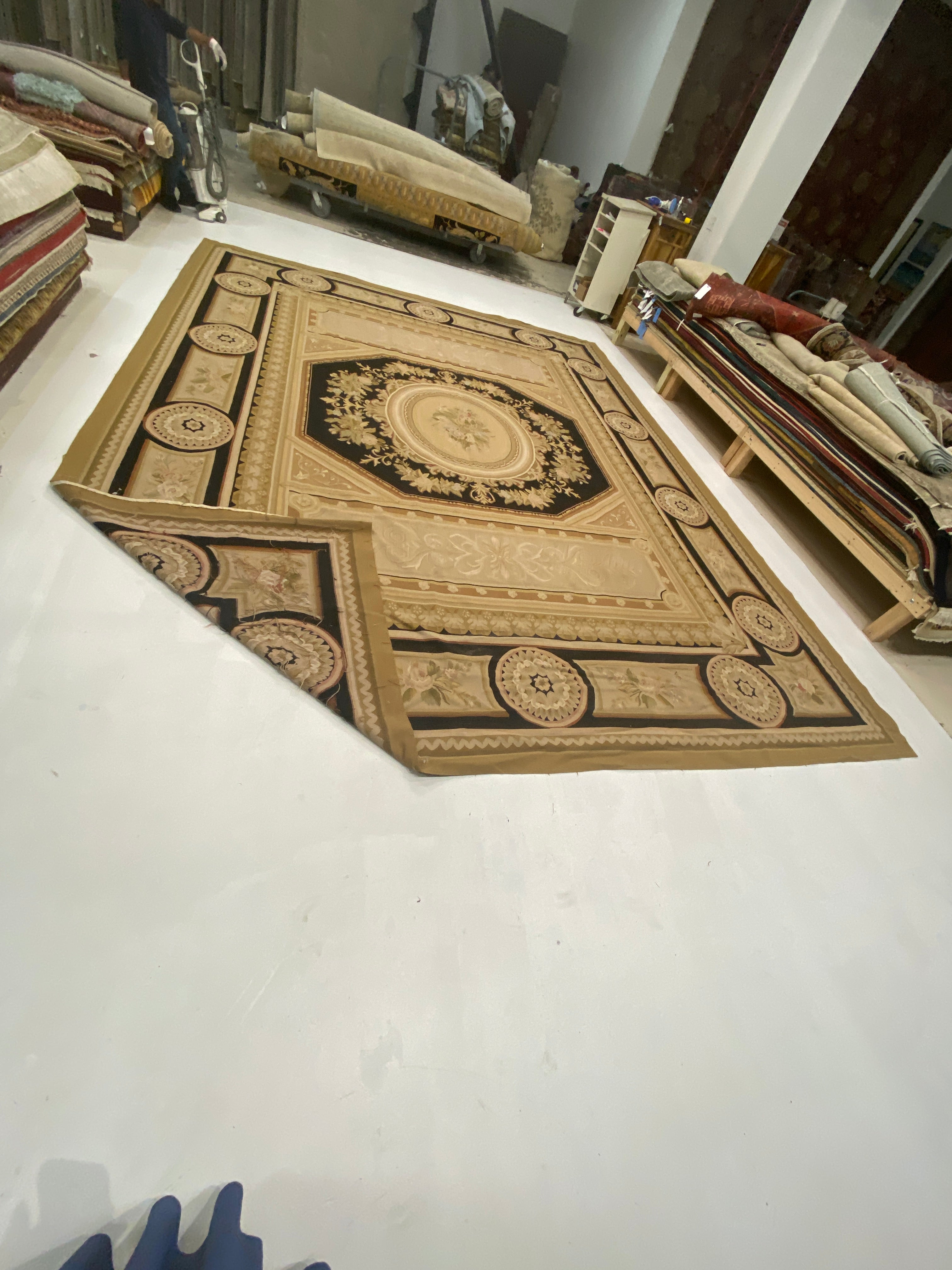 Rugvana AUBUSSON  WOO  12x15