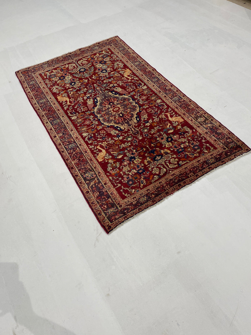 Rugvana SUMAK  WOOL  5x8