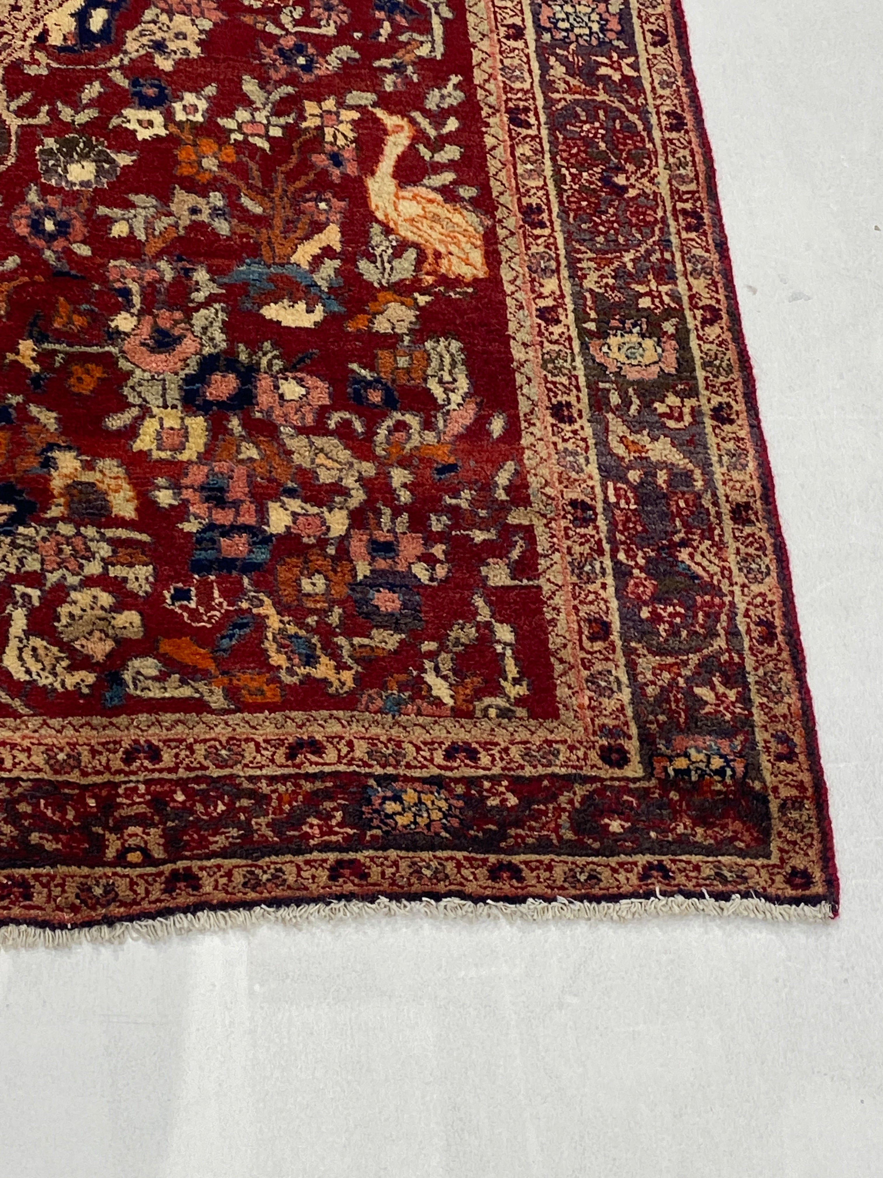 Rugvana SUMAK  WOOL  5x8