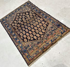 Rugvana HAND KNOTTED  4x6