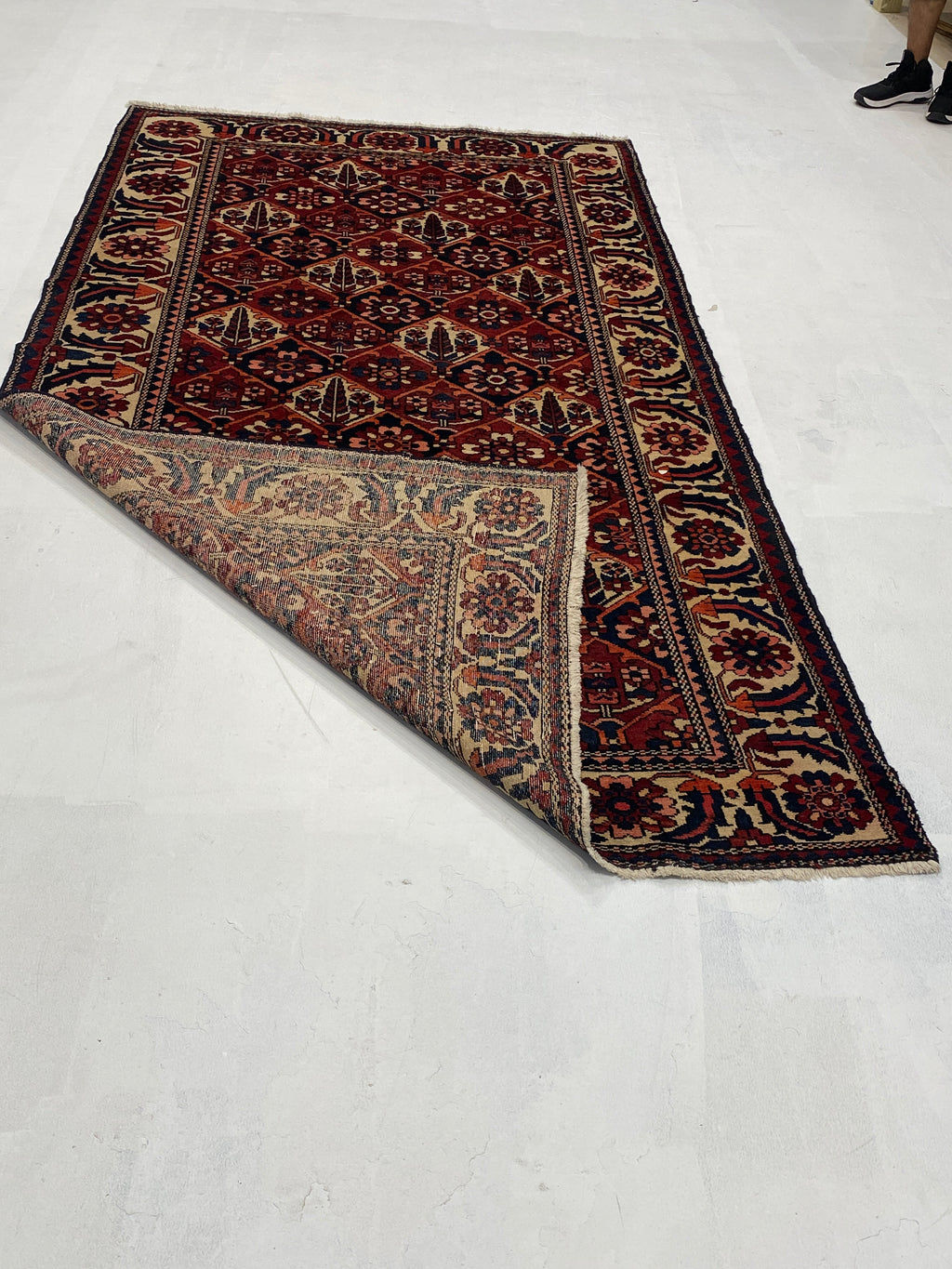 Rugvana HAND KNOTTED  5x9