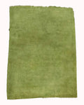 Rugvana ZIEGLER Green 9x11