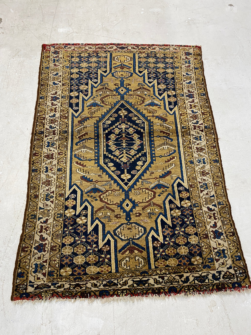 Rugvana Joshegan Anti  4x6