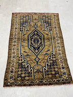 Rugvana Joshegan Anti  4x6