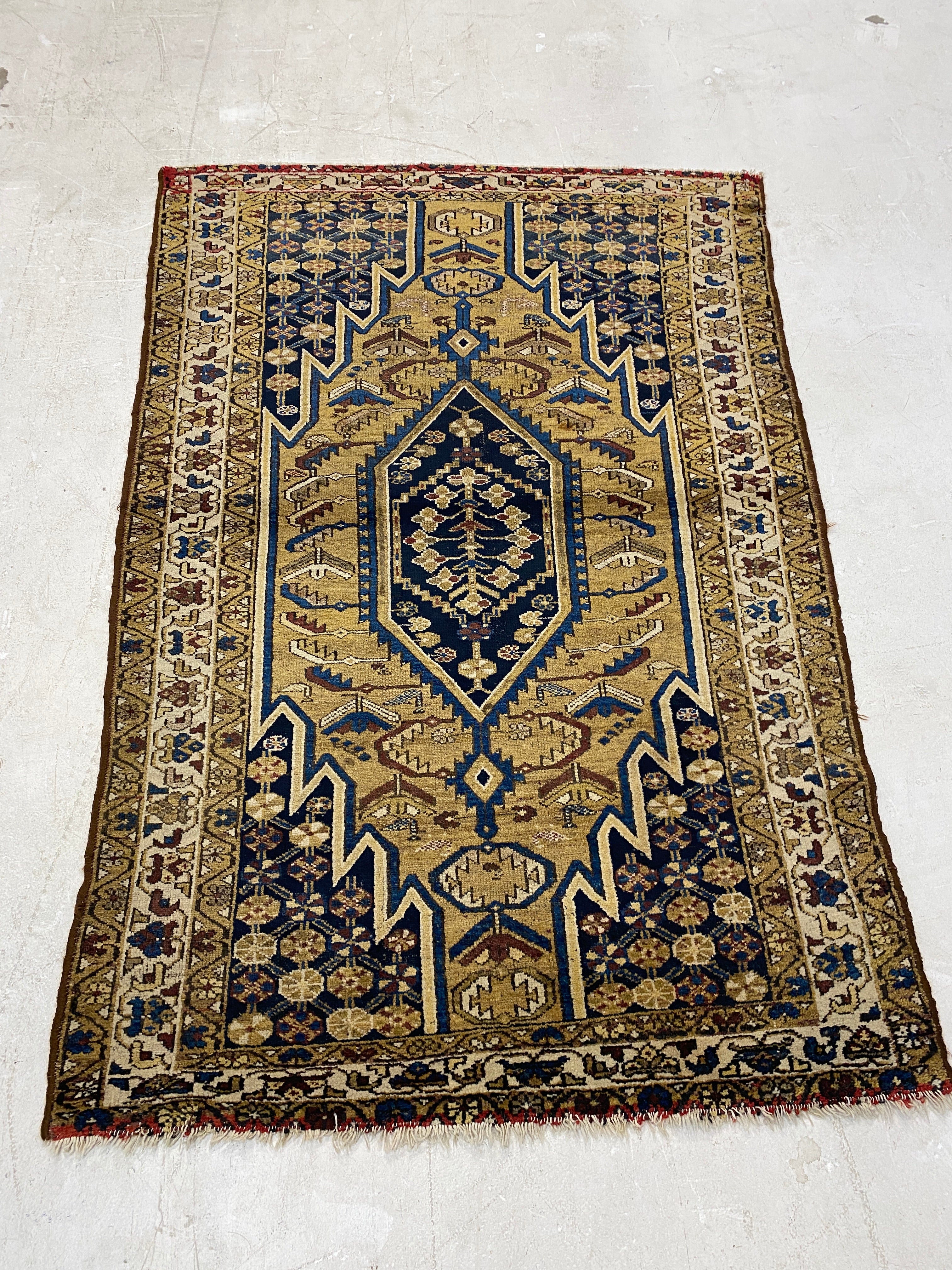 Rugvana Joshegan Anti  4x6