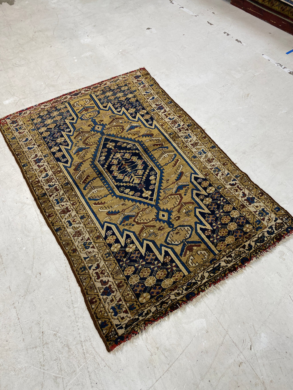 Rugvana Joshegan Anti  4x6