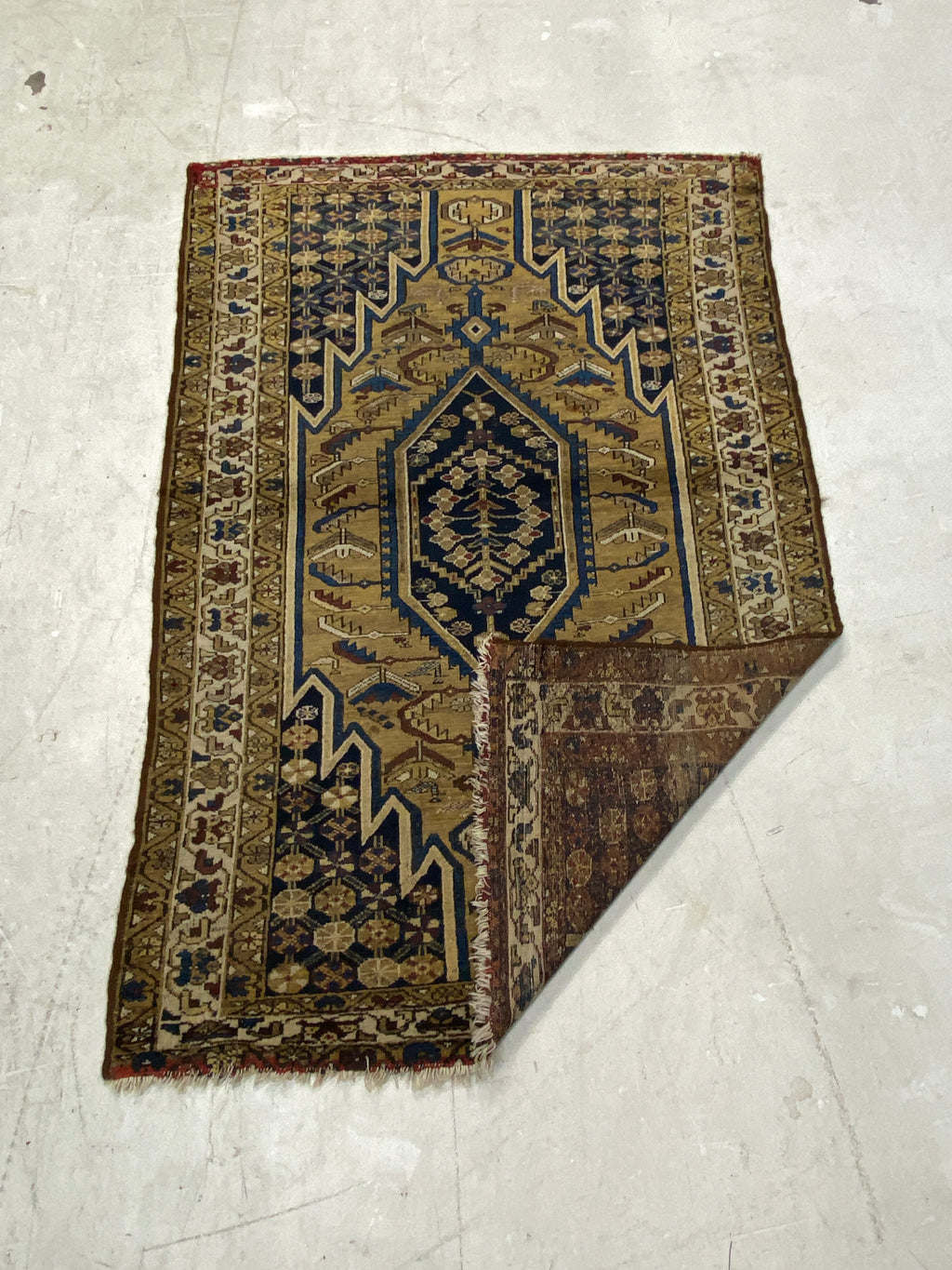 Rugvana Joshegan Anti  4x6