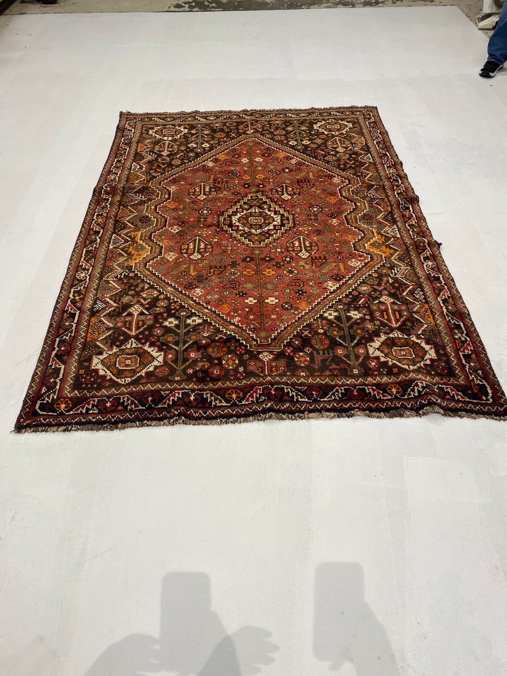 Rugvana SHIRAZ  5x8