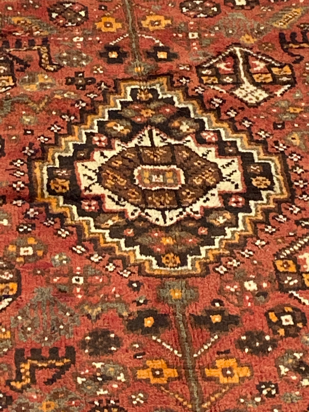 Rugvana SHIRAZ  5x8