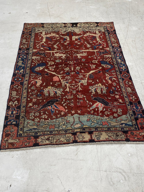 Rugvana BIJAR  3x6