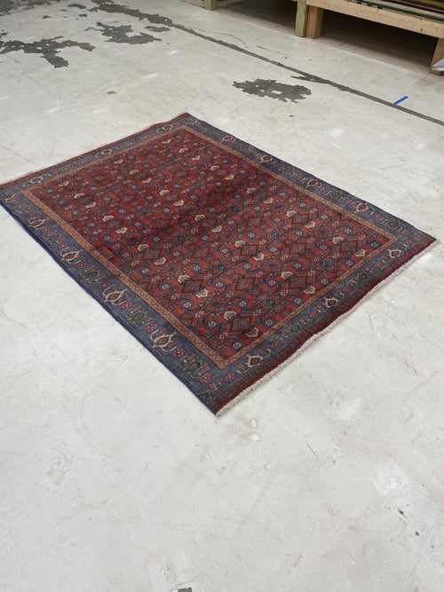 Rugvana BIJAR  4x5