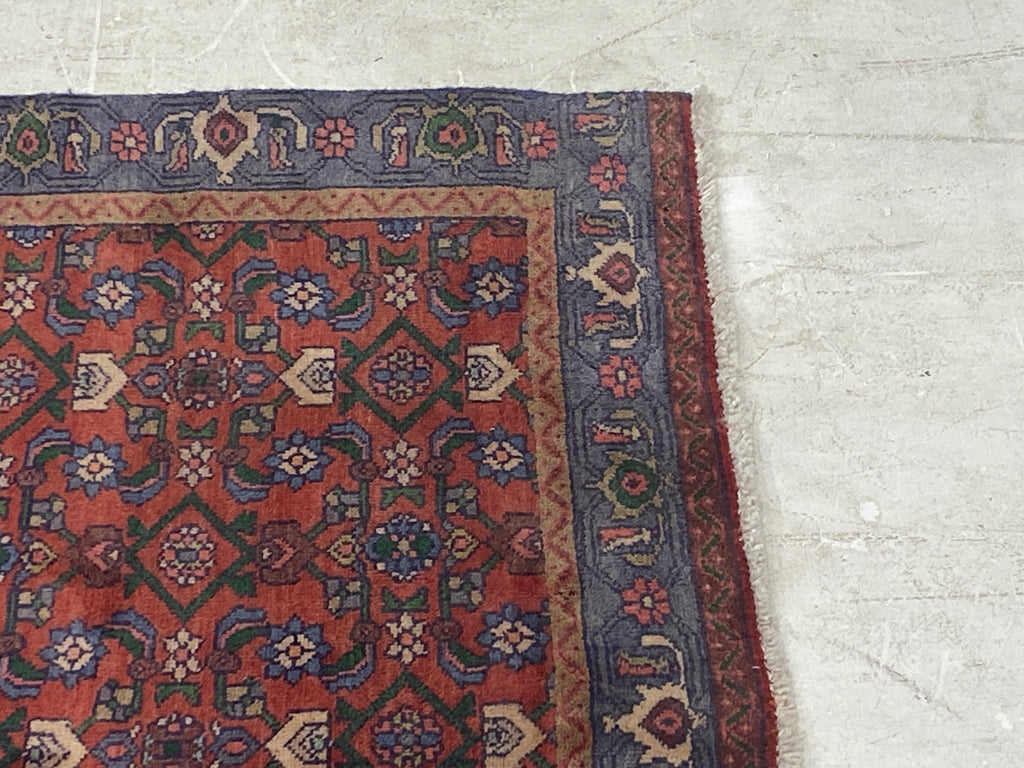 Rugvana BIJAR  4x5