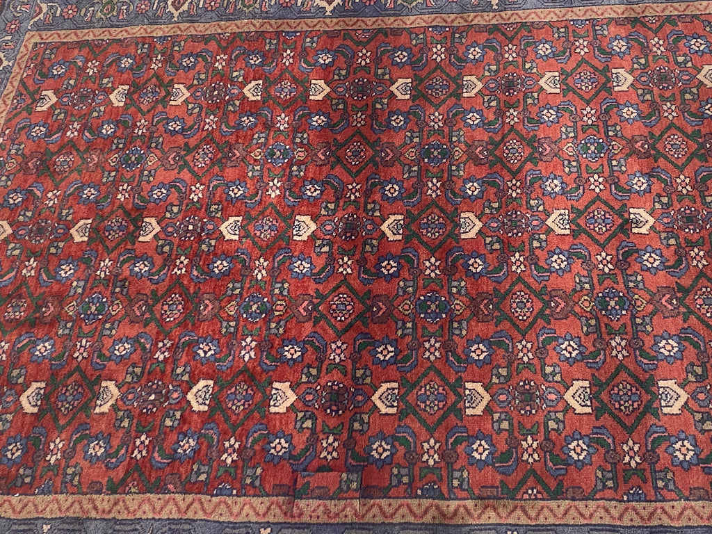 Rugvana BIJAR  4x5