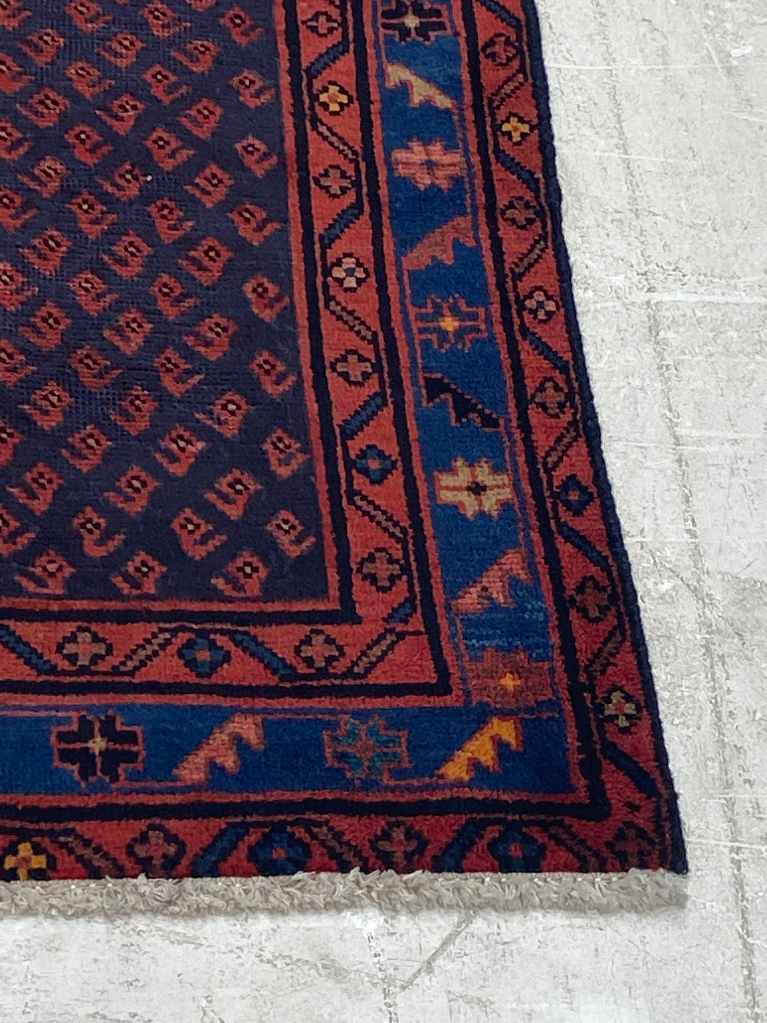Rugvana SAROUKMIR  3x5