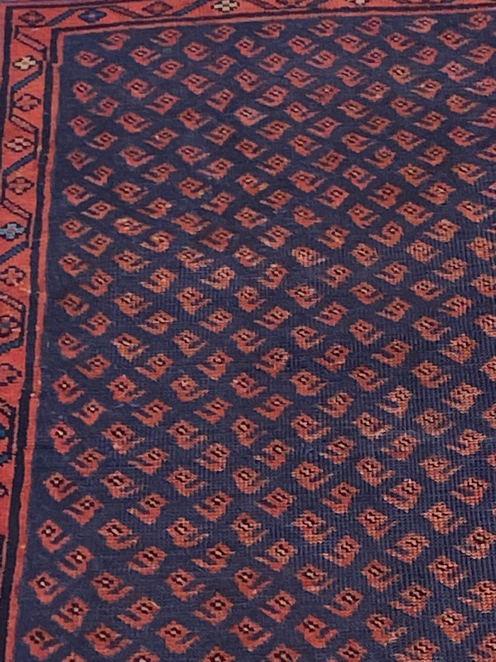 Rugvana SAROUKMIR  3x5