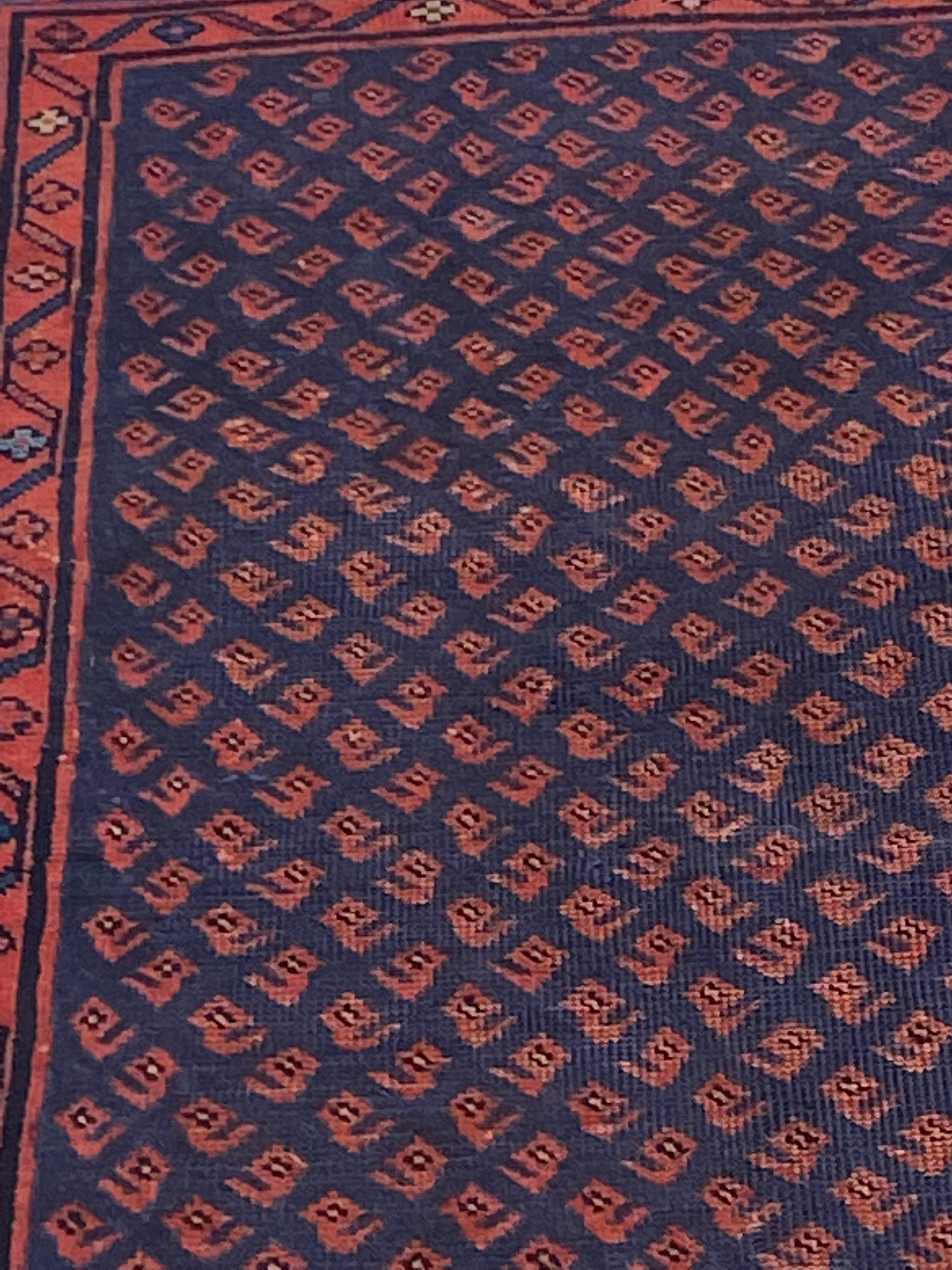 Rugvana SAROUKMIR  3x5