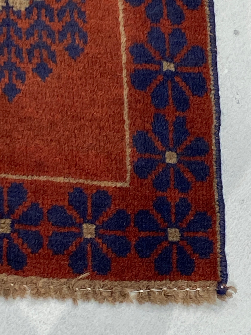 Rugvana BALOUCHI  3x4