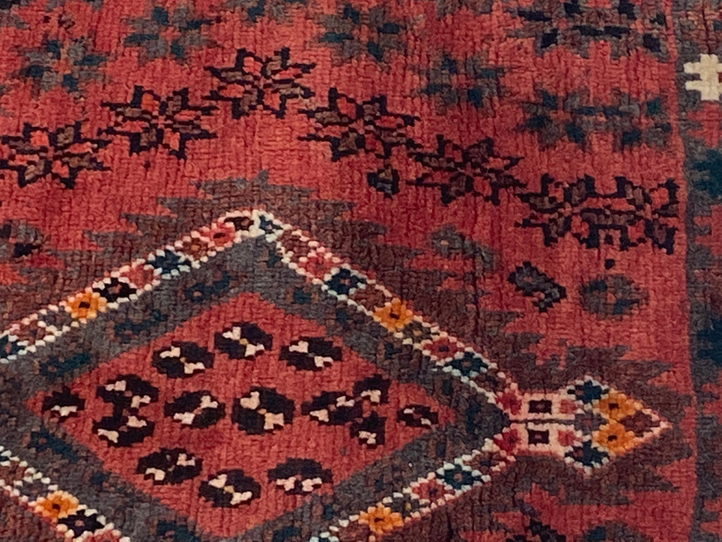 Rugvana SHIRAZ  3x5