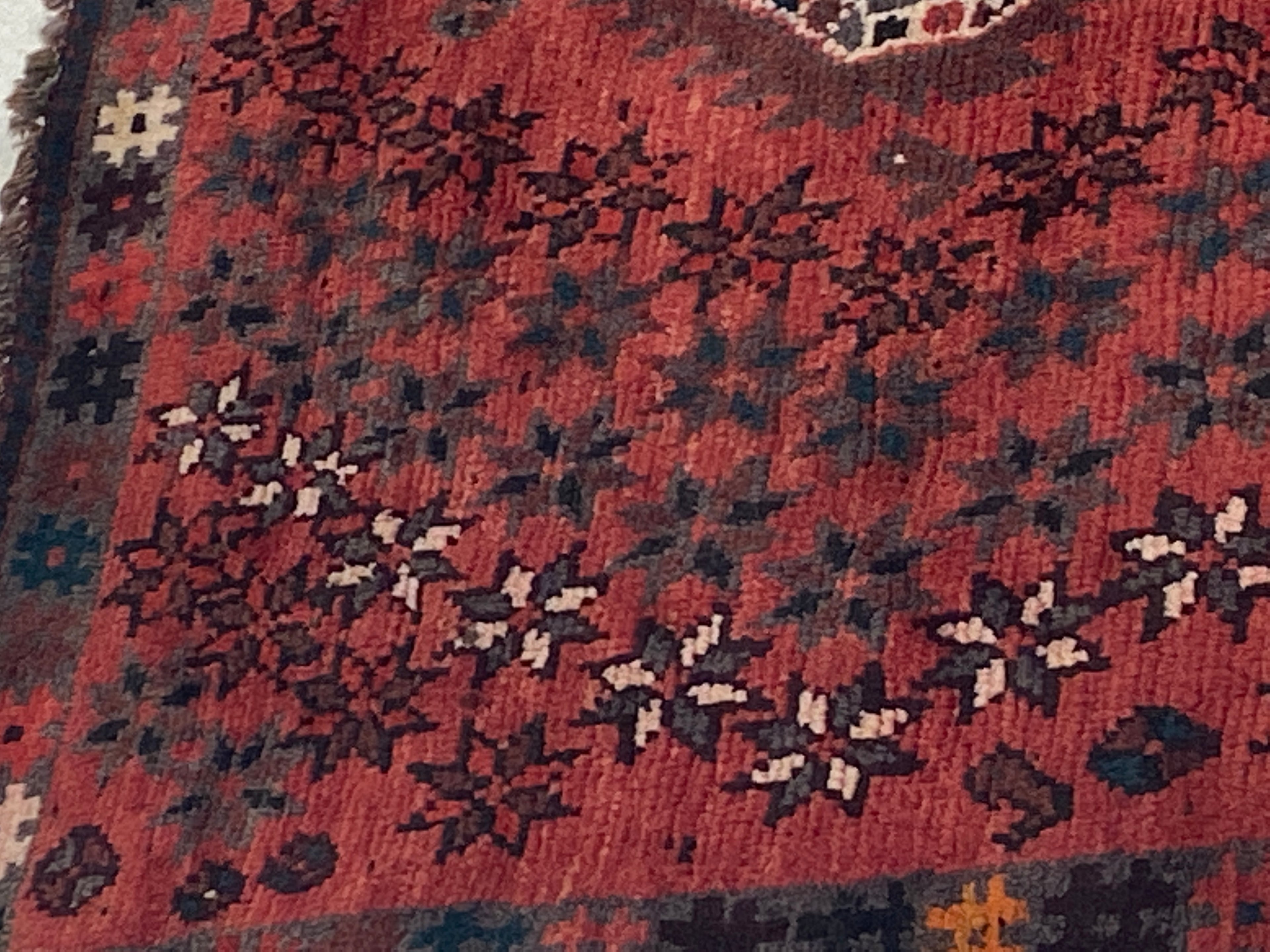 Rugvana SHIRAZ  3x5