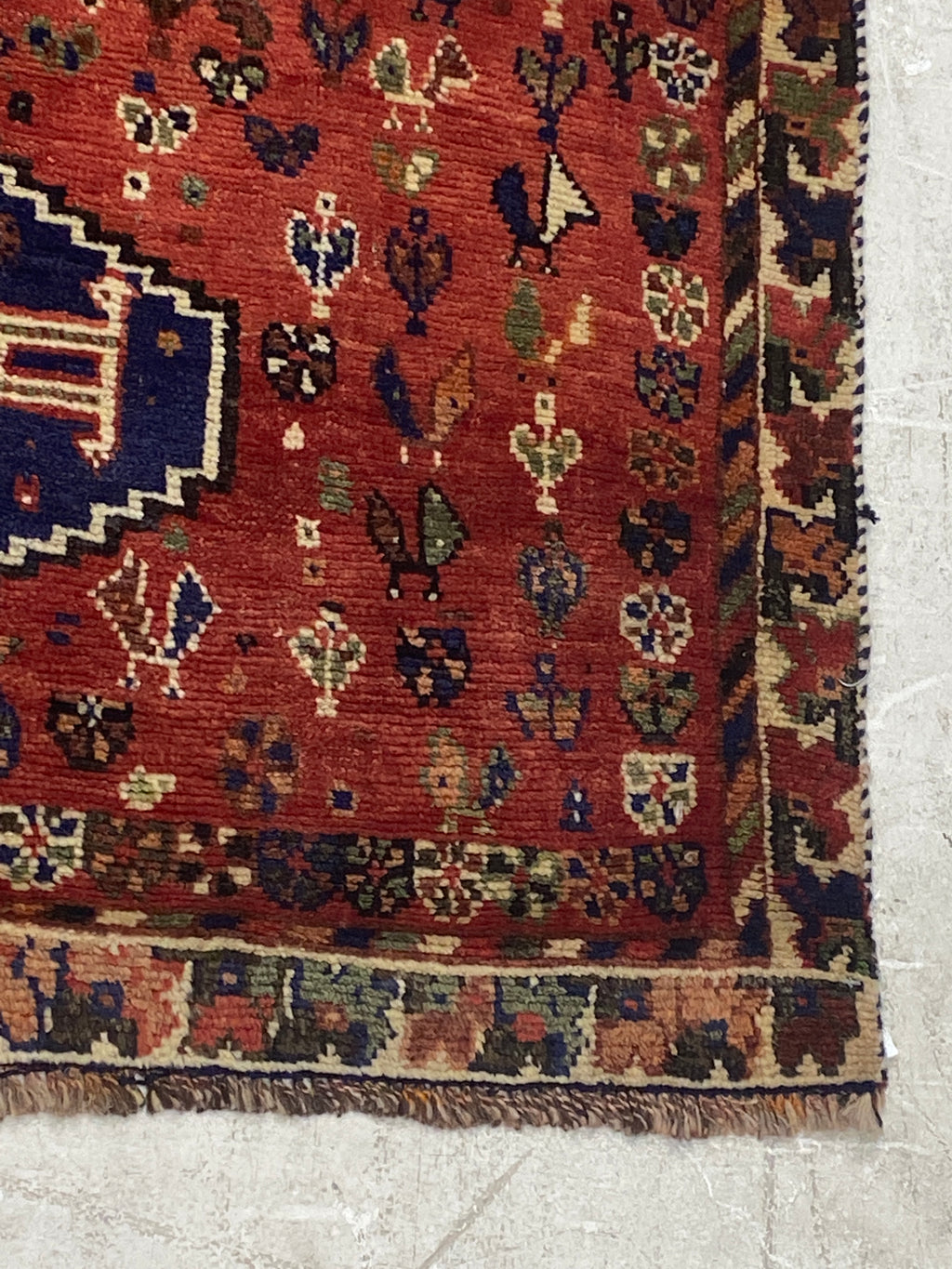 Rugvana SHIRAZ  3x4
