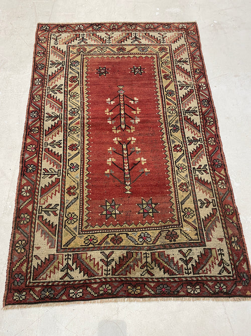 Rugvana ANATOLIAN  3x6