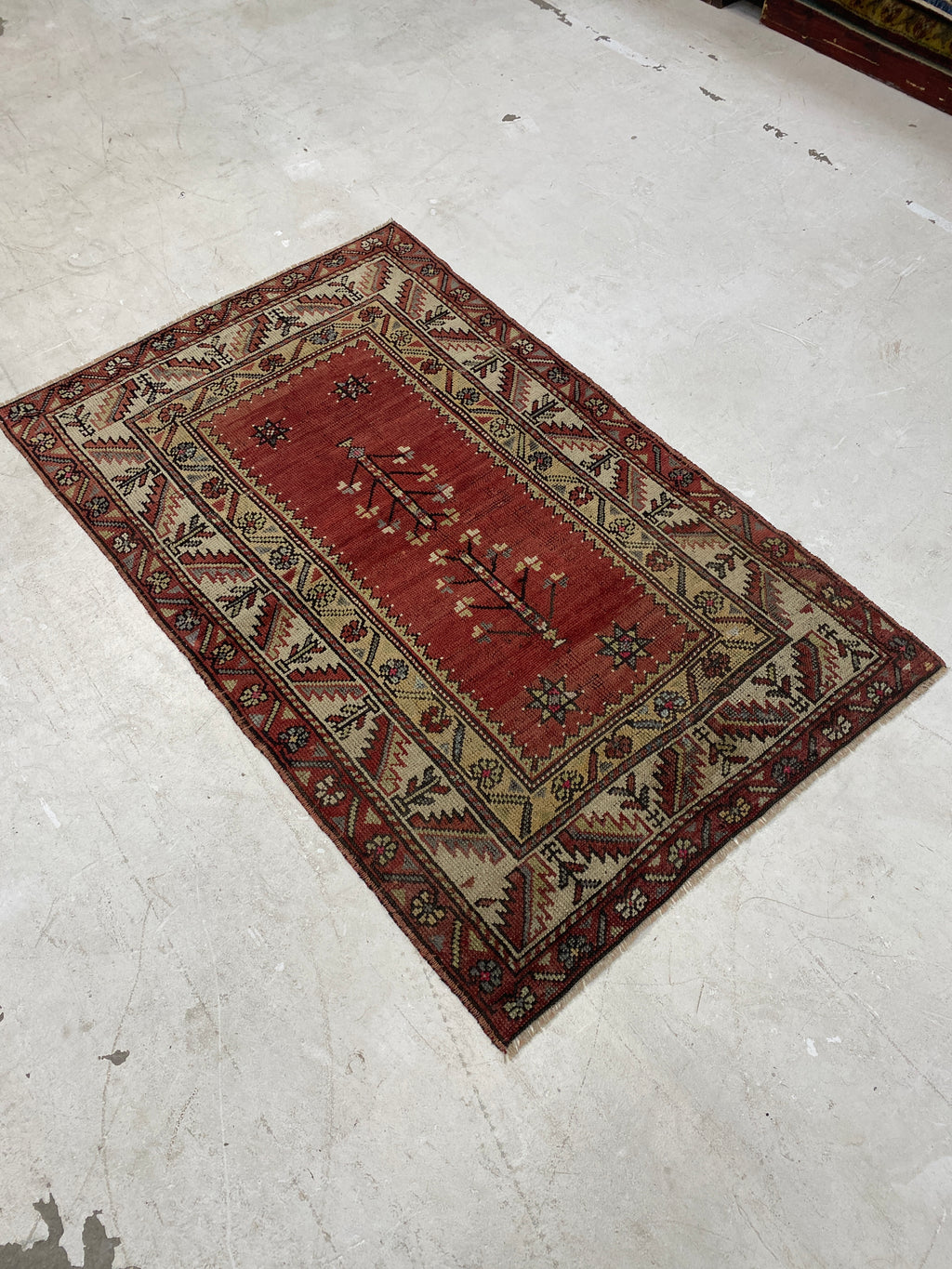 Rugvana ANATOLIAN  3x6