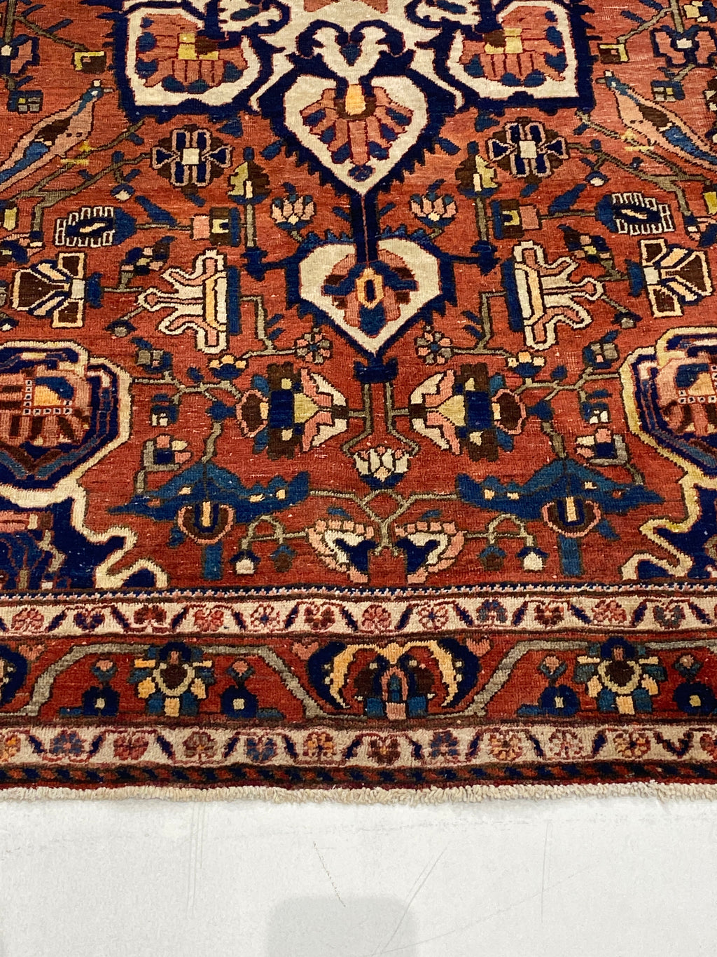 Rugvana BAKHTIARI  5x8