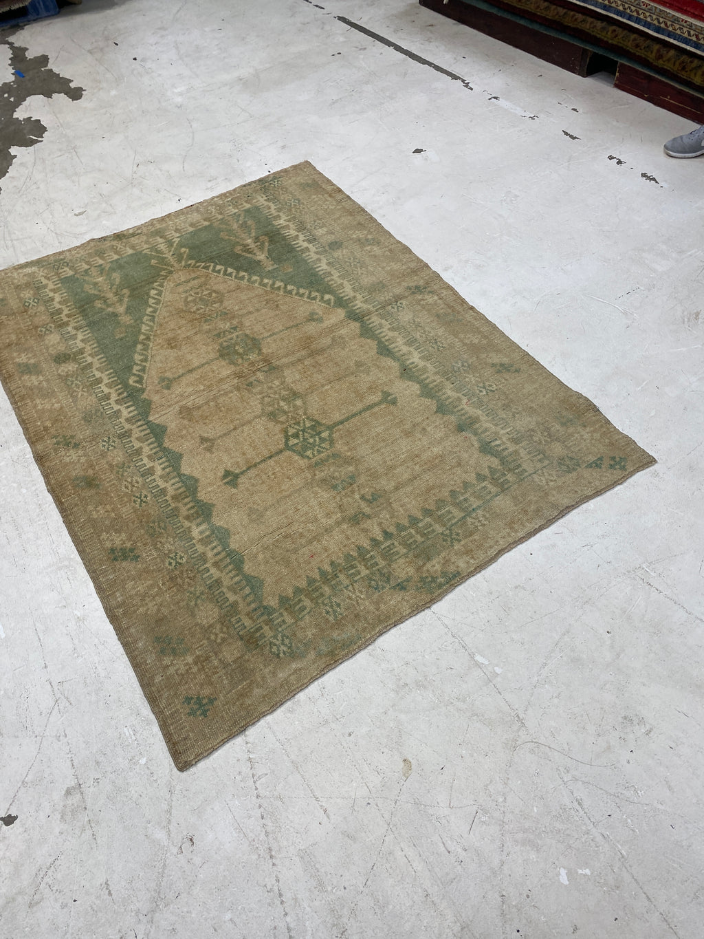 Rugvana Oushak  4x6